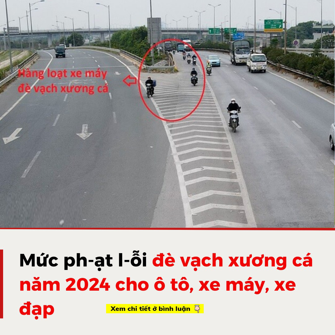 Vạch xương cá là gì? Mức phạt đối với lỗi đè vạch xương cá