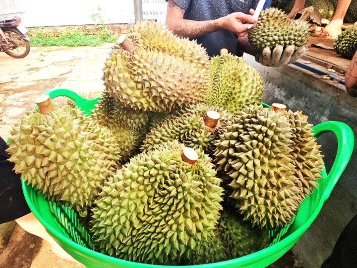 Buôn lậu thuốc nhúng làm chín sầu riêng, giao dịch gần 100 tỷ đồng