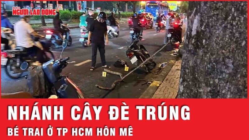 Nhánh cây khiến bé trai 10 tuổi ở TP HCM hôn mê