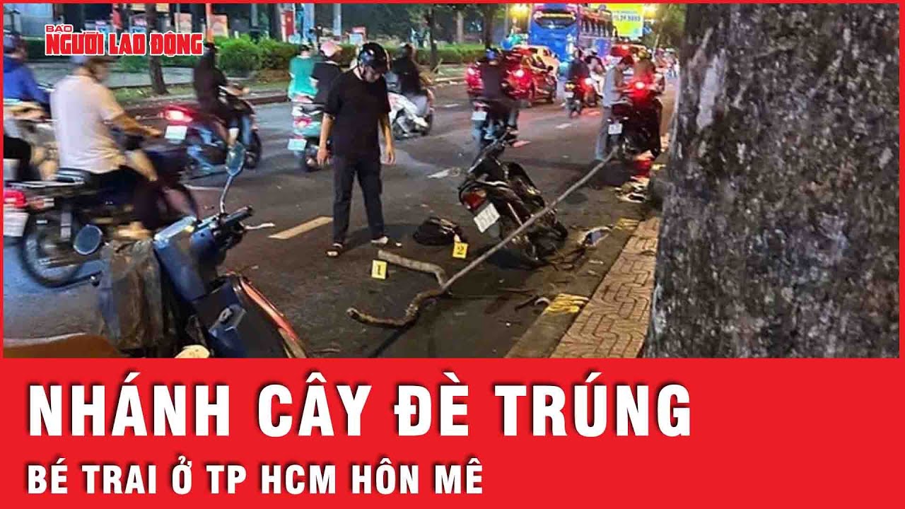 Nhánh cây khiến bé trai 10 tuổi ở TP HCM hôn mê