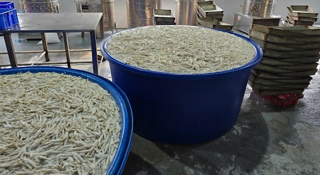 Thanh Hóa: Tạm giữ hơn 13 tấn chân gà ngâm hóa chất chuẩn bị đưa ra thị trường