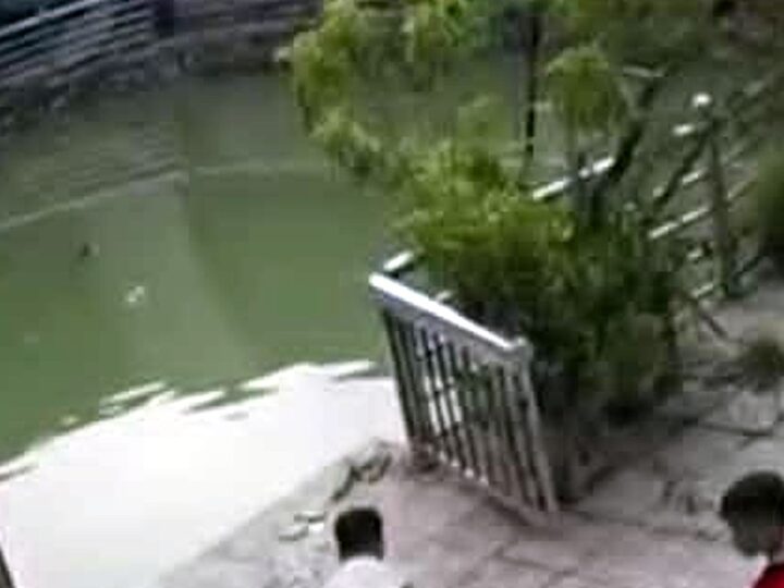 Hai anh em ruột, sắp vào lớp 1 và lớp 5 cùng nhau ra sân chơi gần khu nhà trọ ở Hà Nội. Trong lúc vui chơi, không may cả hai rơi xuống giếng gần đó tu vong thương tâm 😭