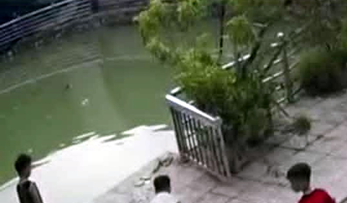 Hai anh em ruột, sắp vào lớp 1 và lớp 5 cùng nhau ra sân chơi gần khu nhà trọ ở Hà Nội. Trong lúc vui chơi, không may cả hai rơi xuống giếng gần đó tu vong thương tâm 😭