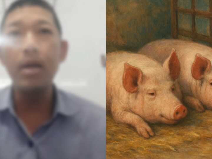 Công an Cần Thơ triệu tập người “tố” Công ty C.P. Việt Nam bán thịt heo bệnh