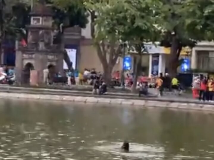 Vụ cô gái không mặc quần áo lội xuống Hồ Gươm: Nạn nhân đã tử vong, hé lộ nguyên nhân